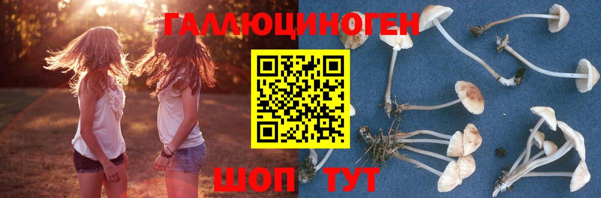 Псилоцибиновые грибы мицелий Нурлат